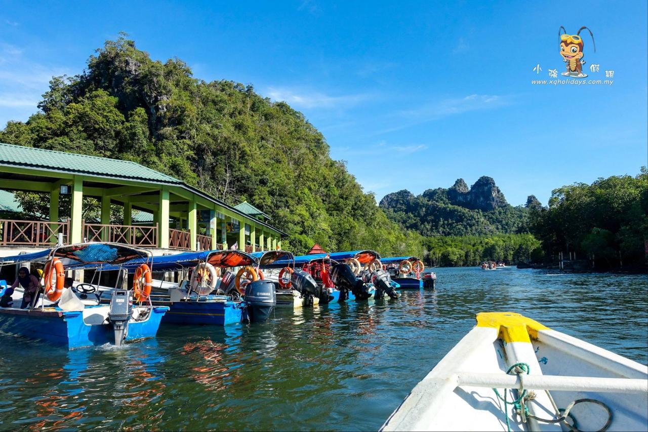 Mangrove Tour Langkawi: Eksplorasi Ekosistem Pesisir yang Menawan